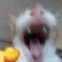 01_of_the_arcanums-01arcanum icon