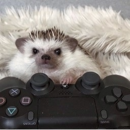 0chair-CyberTimer icon