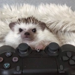 0chair-CyberTimer icon