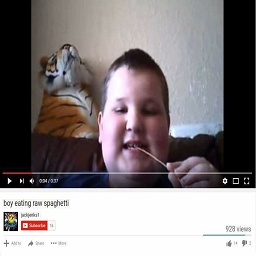 1000dumplings-SpeddyCompany icon