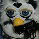 15Rats-FurbyPosters icon