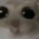 2008-LluviaArriesgada icon