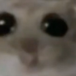 2008-LluviaArriesgada icon