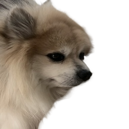 3147-CORBANmodpack icon