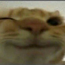 4ltTab-4ltTabIsTheGOAT icon