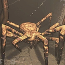 9334-SpiderFrench icon