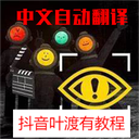 9527-Chinesetranslation icon