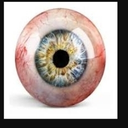 AAAAAAAAAAAAAAAAAAAAAAAAAAAAAAA-A_Stupid_Mod_Pack icon