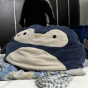 AKCipher-Random_Meme_Among_You icon