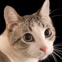 ARandomIdiot-DrewsModpack icon