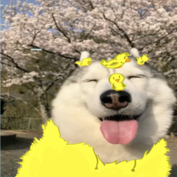 ASusTeam-SusModpack icon