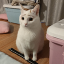 Acceyuriko-EnableAchievements icon