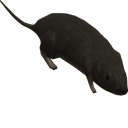 AcousticRestarters-EndBoombox1 icon