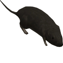 AcousticRestarters-EndBoombox2 icon