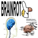 AcousticTeam-AcousticModpack icon