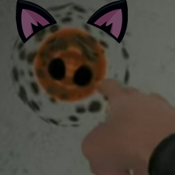 Adidasaurus-Nullcats icon