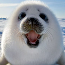 AdmSalty-Saltys_Modpack icon