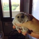 Agle_Froonds-Agle_Lethal_ModPack icon