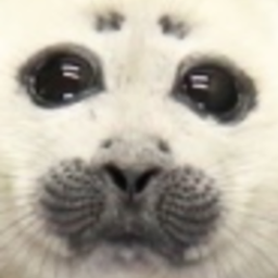 Agonius-agonius_modpack icon