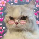 Ahang-AhangMusic icon