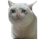 Alec1017-AlecsCoolMod icon