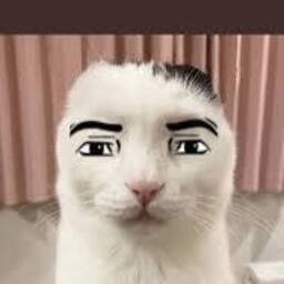 AlphaFuwa-AlphaFuwaModPack icon