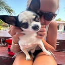 AlvinHolgersson-Stamina_Tweaks icon