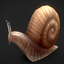 AmesBoys-ImmortalSnail-0.7.0 icon