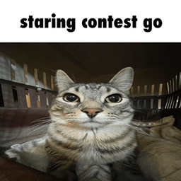 Ancient-AncientsAwesomeSuits icon