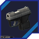 Andrew_FTW-FTW_Arms_Micro_Deagle icon