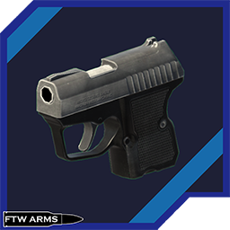 Andrew_FTW-FTW_Arms_Micro_Deagle icon