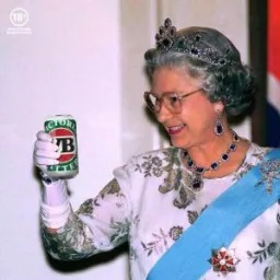 AngoMango-VitaminVBModpack icon