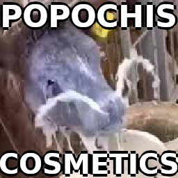 Anilom-PopochisCosmetics icon