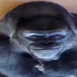 Apes-Apes_United icon