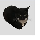 ApfelApfel-Apples_Modpack_2 icon