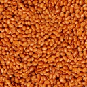 AquaEther-BeanSuit icon