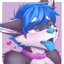 Argonaft-FurryModpack icon