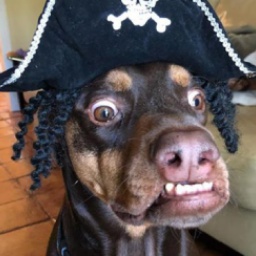 Asanaik-Brownhub icon