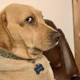 Asanaik-FBIWatchList_V2 icon