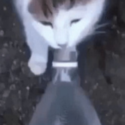 AstoVRC-gregg_modpack_lc icon