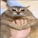 Astraleth-Minecrouft_ModPack icon