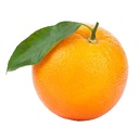 AtomicLLamas-Soup icon