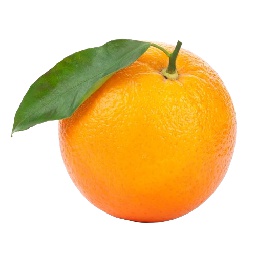 AtomicLLamas-Soup icon