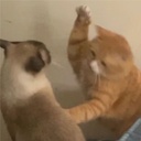 AtroWangYao-IceBoxModPack icon