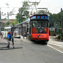 AutogenMods-InscryptExtraCards icon