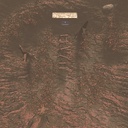 Autumnis-355_Victory icon