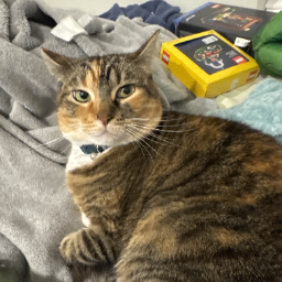 Avant-LethalBeansModpack icon