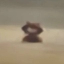 Axol-Oneshot_Posters icon