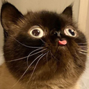 Ayaya-Mod_Lethal_Company_Koneko icon