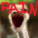 AyboiiMusic-Ayboii_Music icon